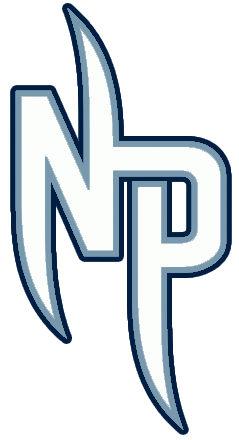 Nashville Predators 2009-2011 Alternate Logo DIY iron on transfer (heat transfer)